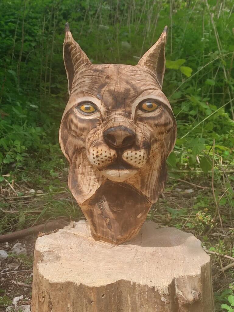 tete-lynx