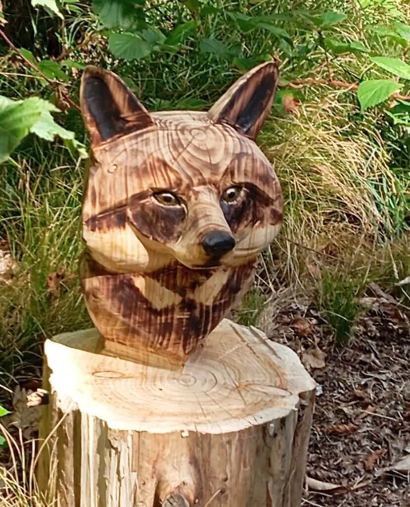 tete-renard